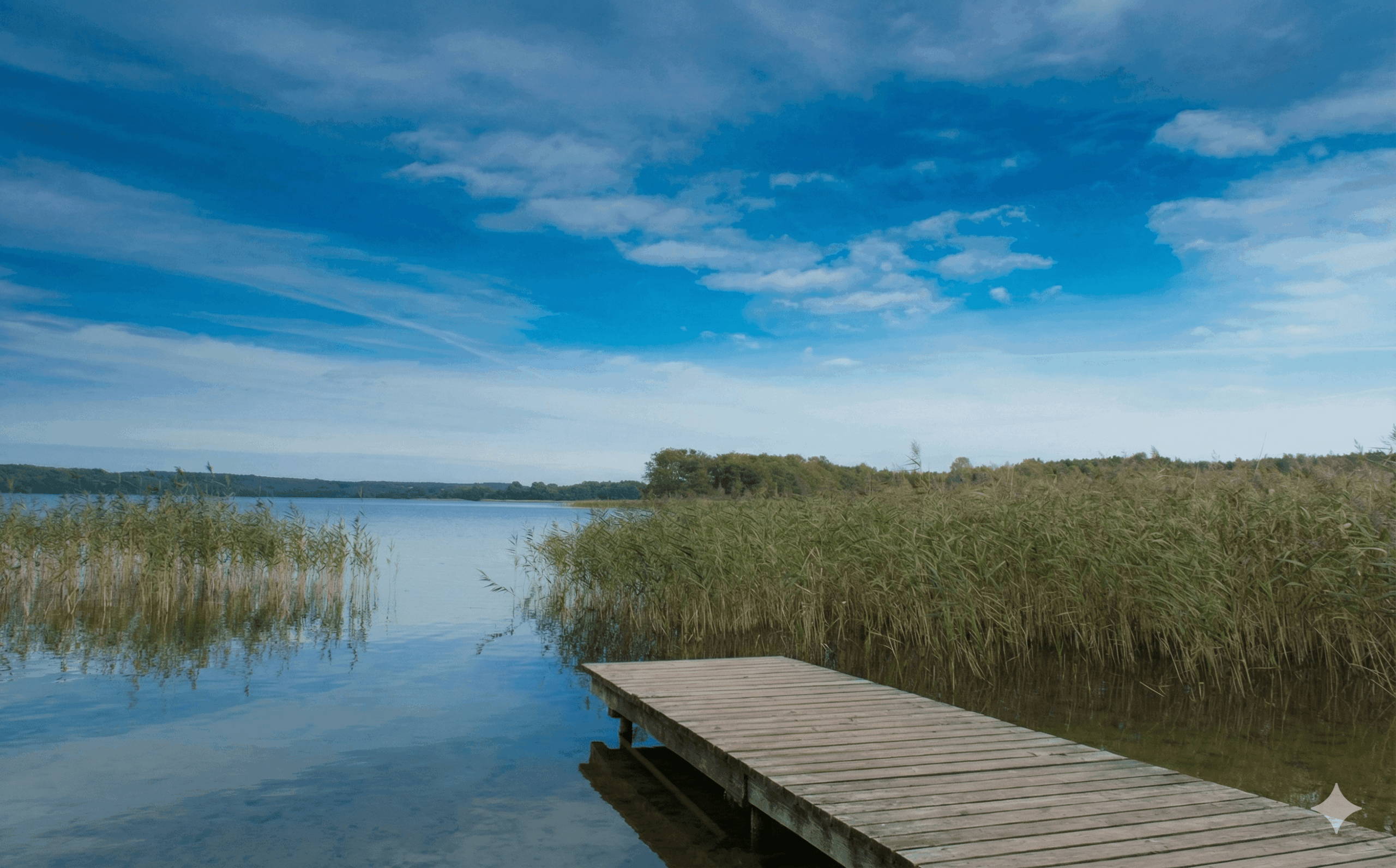 Ferienwohnung Schwaan